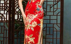 欧美夫妻图片区